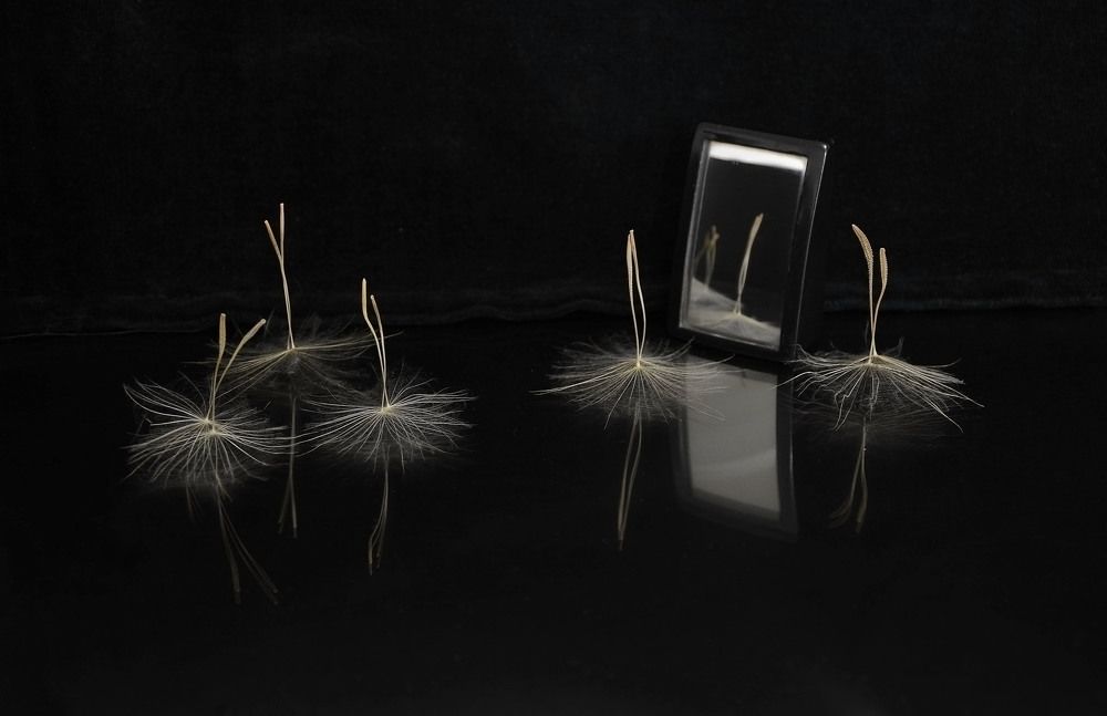 Балерины перед зеркалом