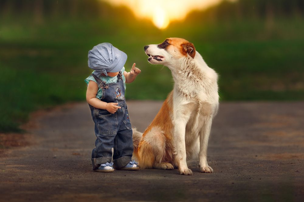 Детские открытия