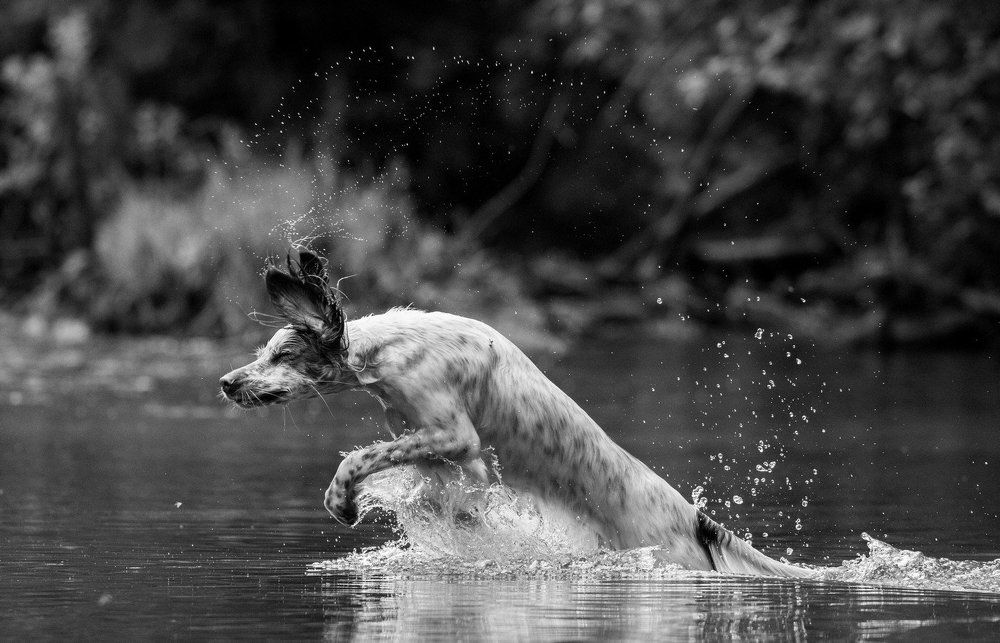 Водная прогулка.