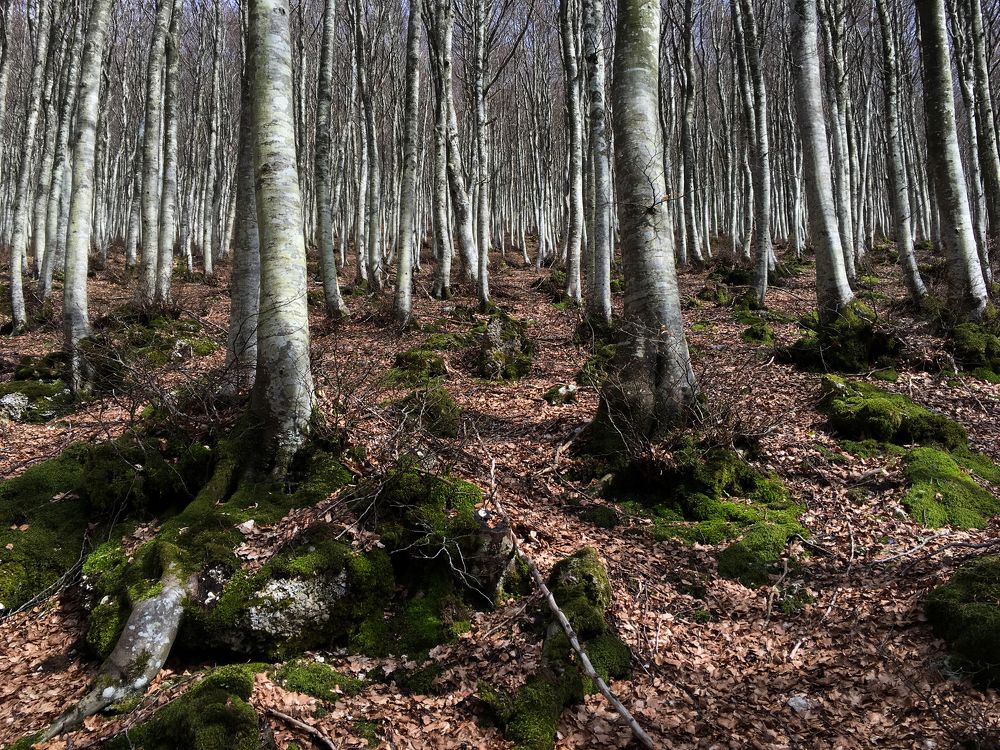 Fifty shades of grey.