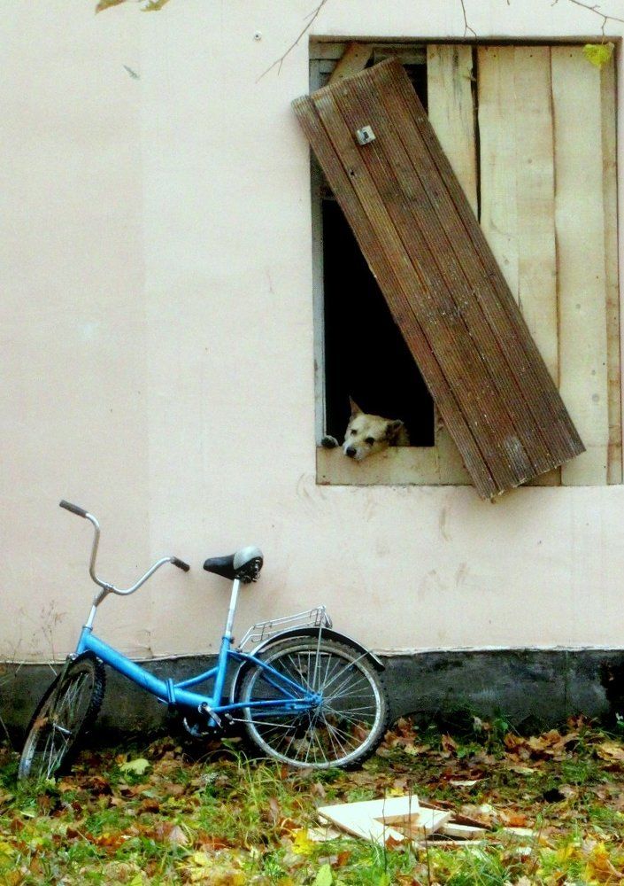 Потеря