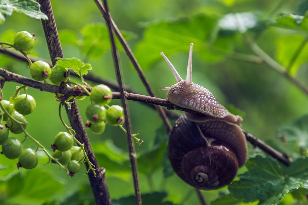 Утренняя гимнастика