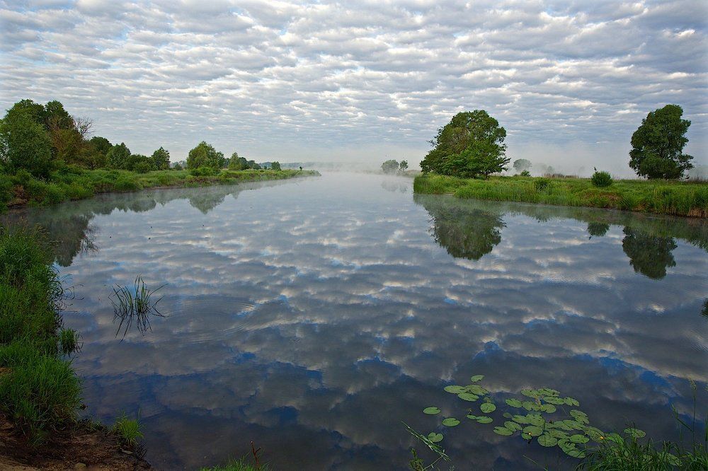 ватное утро