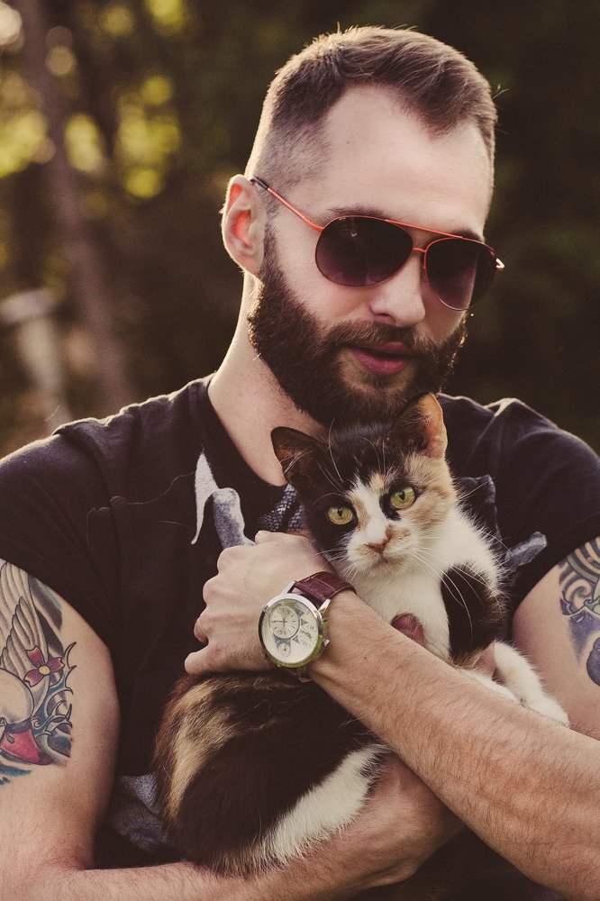 Человек и кошка