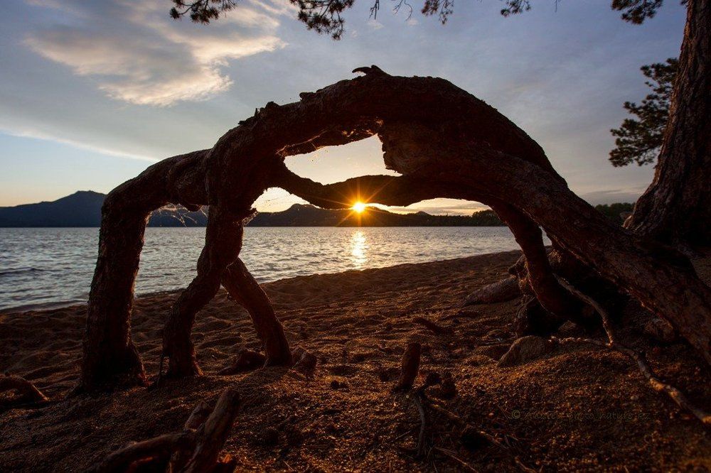 Битва титанов