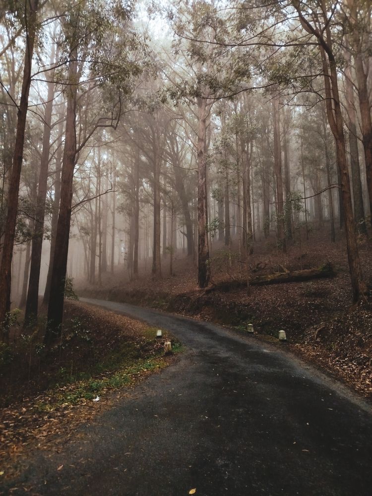 Photograph by Devmin Senevirathna