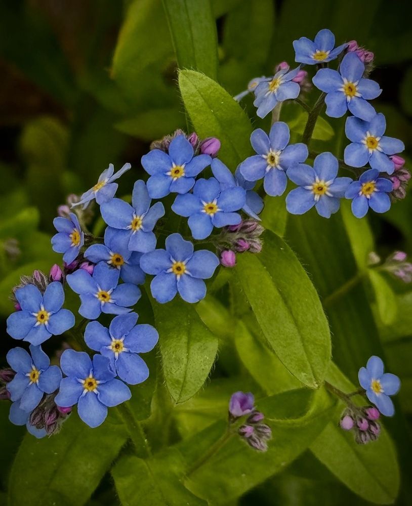 Photograph by Алена Ходатович