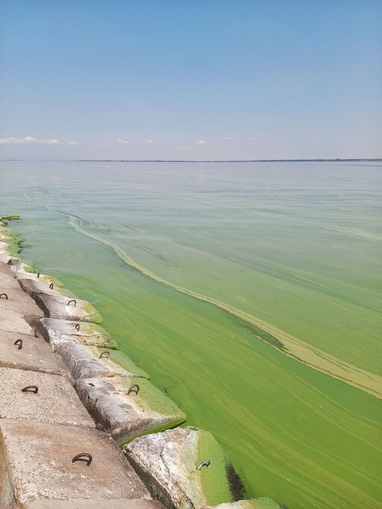 Photograph by Людмила М