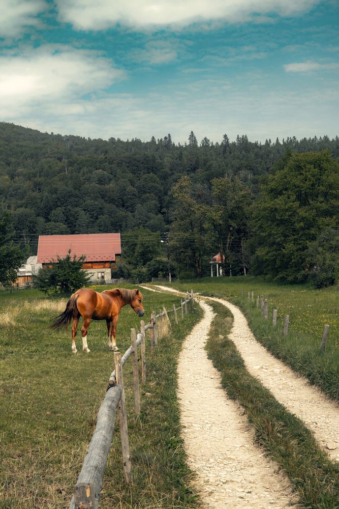 Фотография автора Дима Шарапов