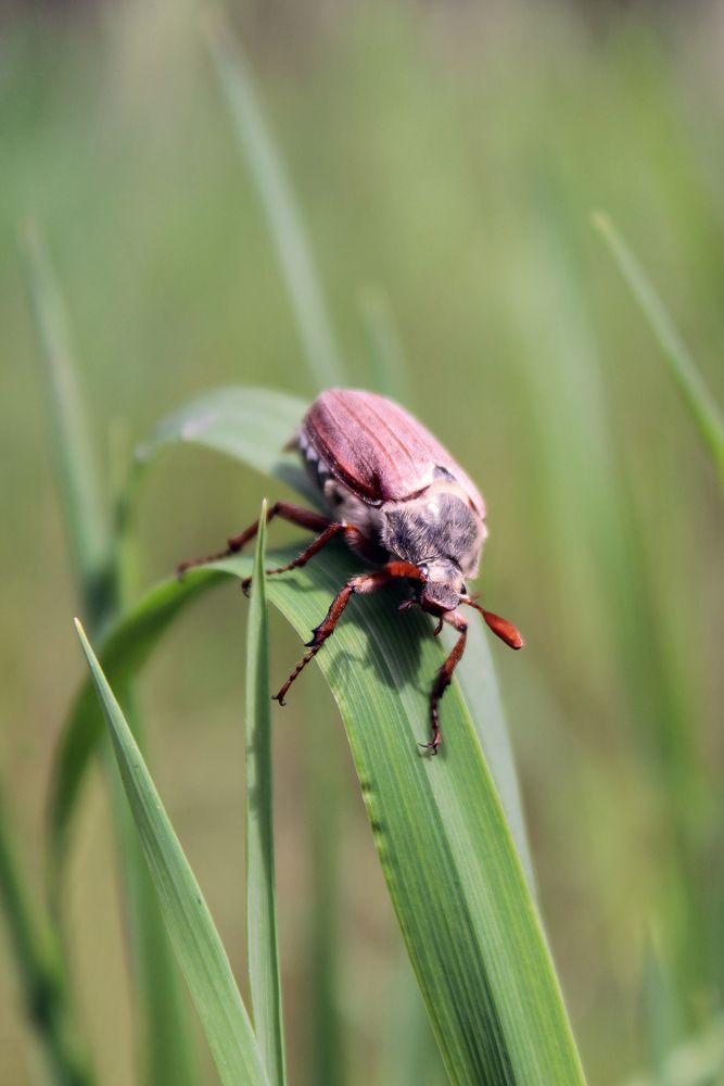 Фотография автора Татьяна Сычёва