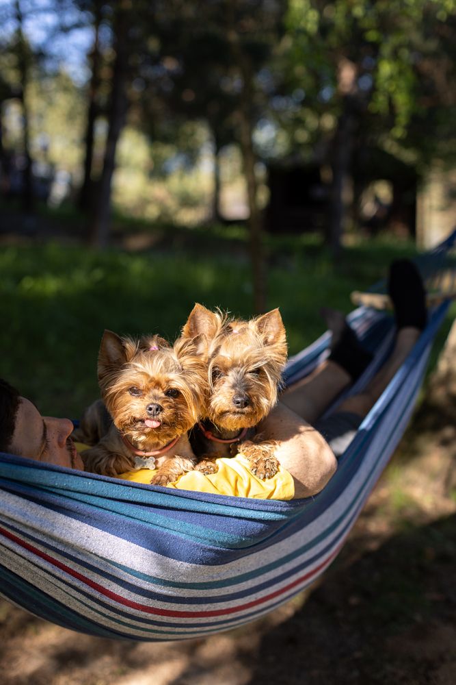 Photograph by Наталья Угрюмова