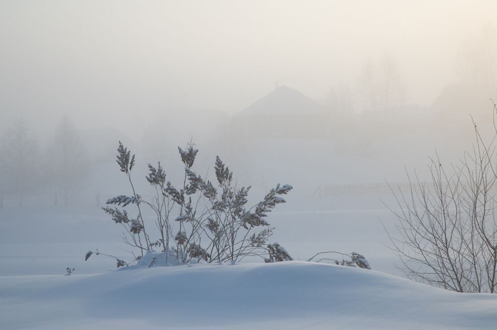 Фотография автора Тарас Махринский