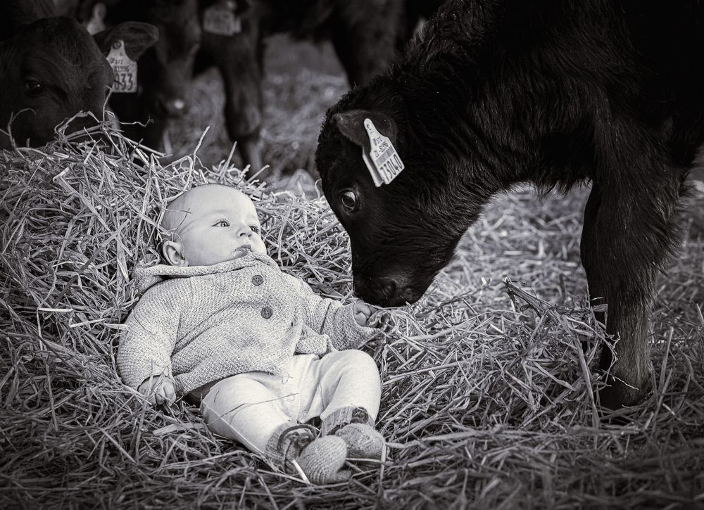 Photograph by Nadina Ironia