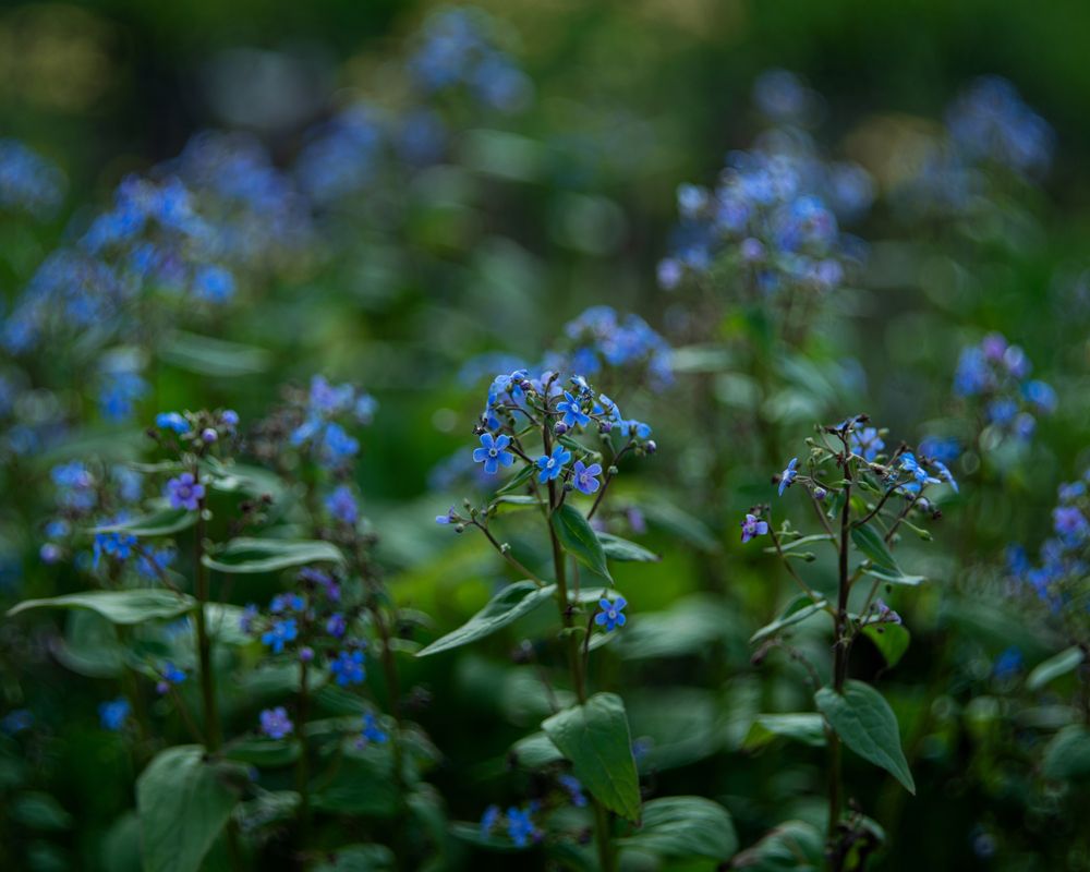 Photograph by Кристина Валиева