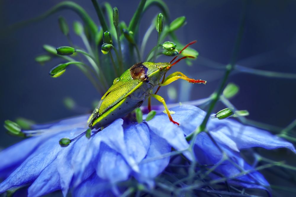 Photograph by Тараненко Анжелика