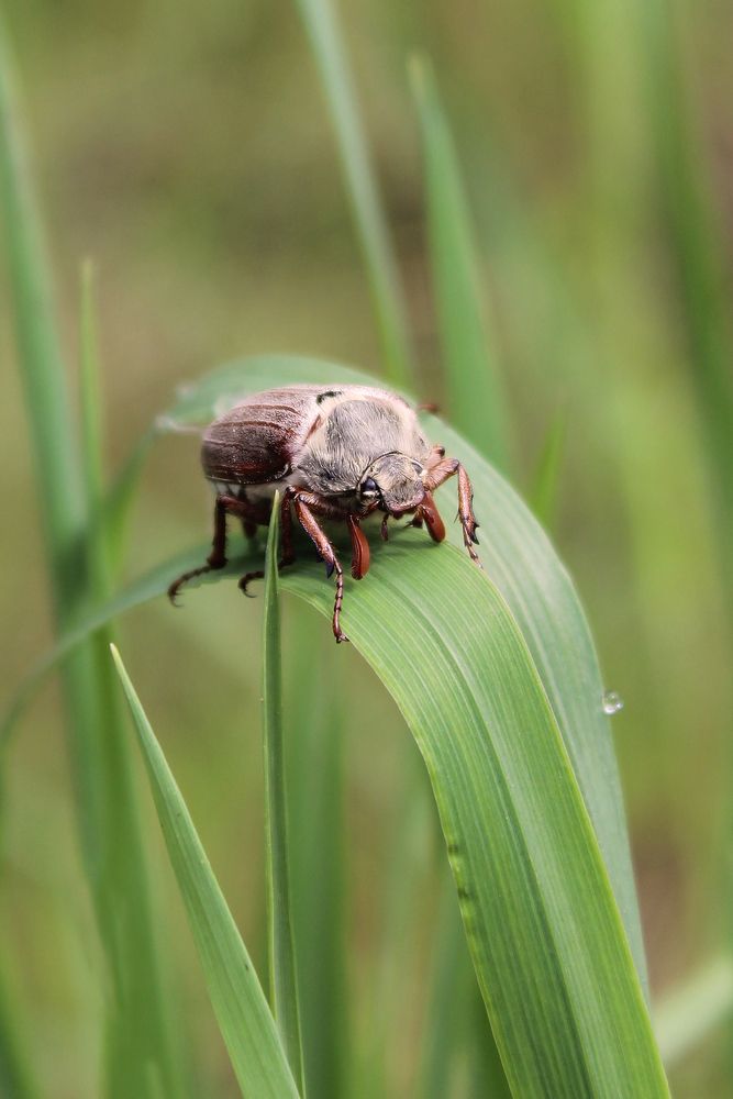 Фотография автора Татьяна Сычёва