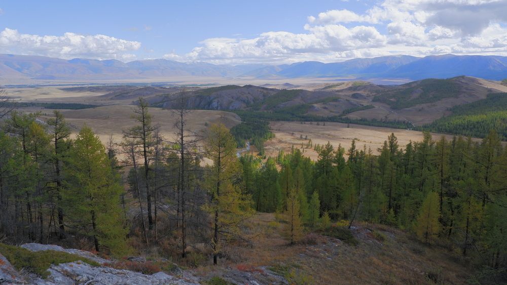 Photograph by Владимир Коровин