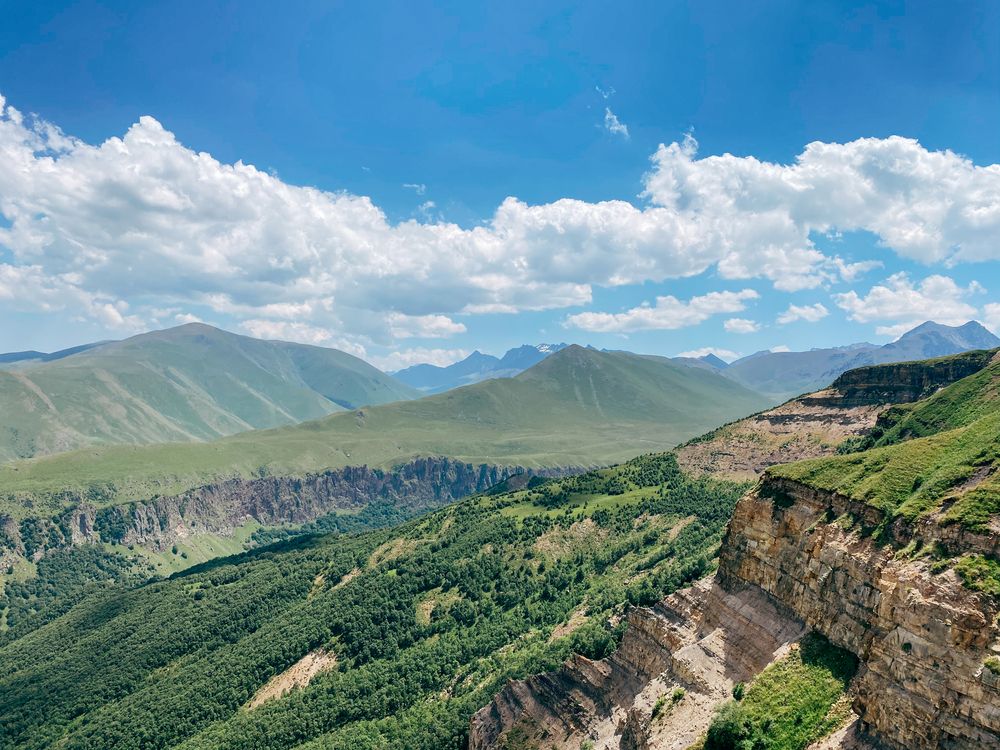Фотография автора Дарья Андреева