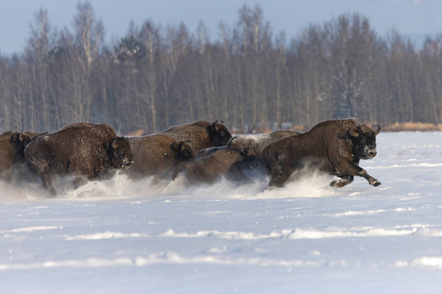 Почти полёт.