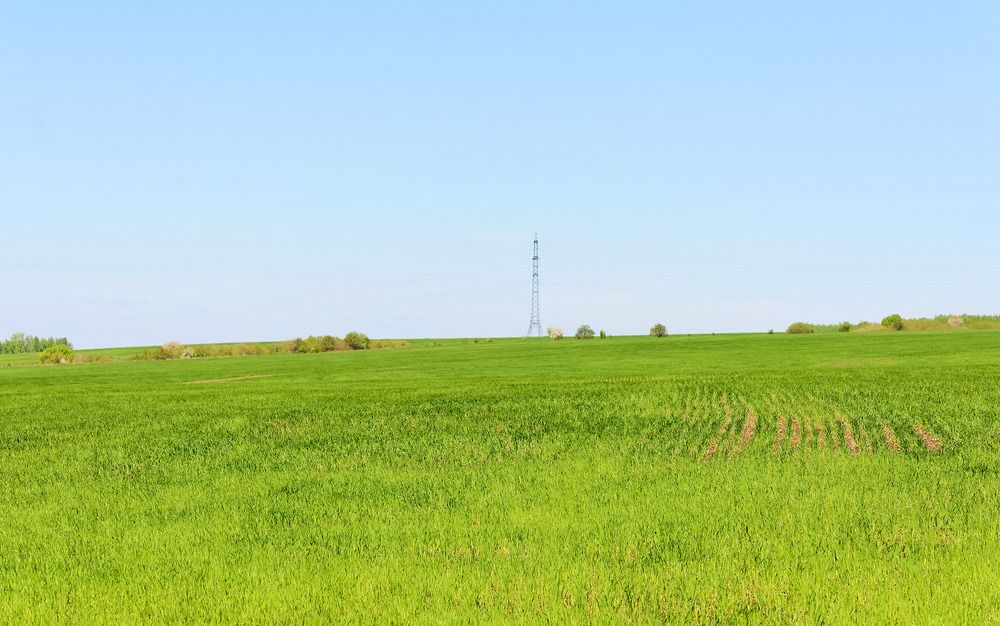 Photograph by Олег Шлыгин