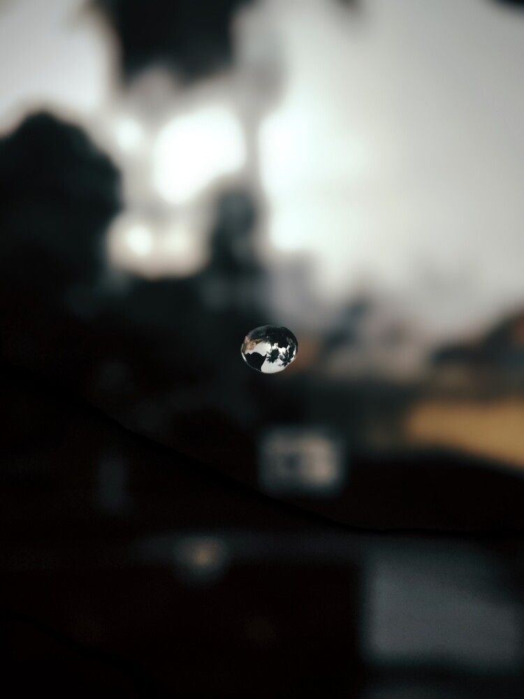 Photograph by Bragadeesh R