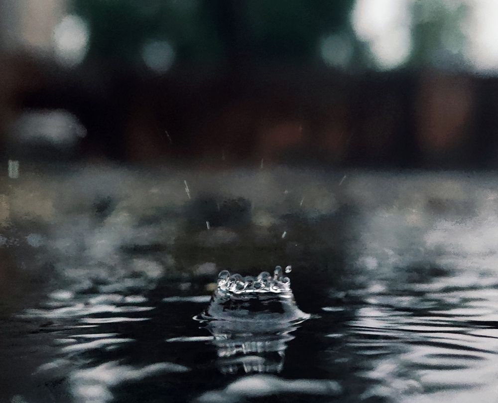 Photograph by Bragadeesh R