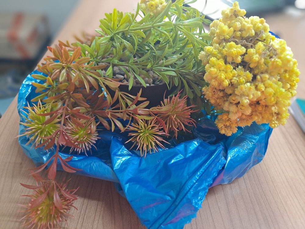 Photograph by betül yiğci