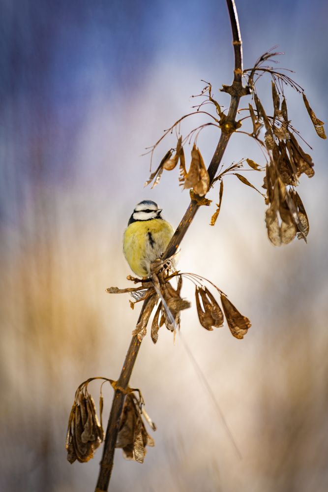 Photograph by Игорь Толкачев