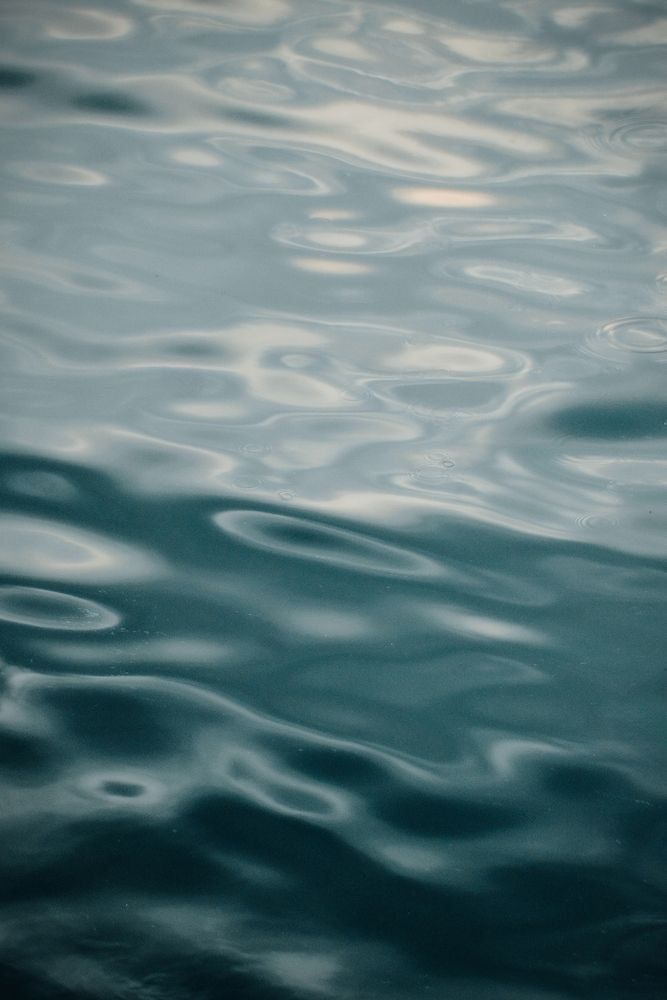 Photograph by Bragadeesh R