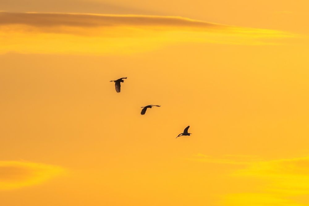 Photograph by Хабаров Сергей