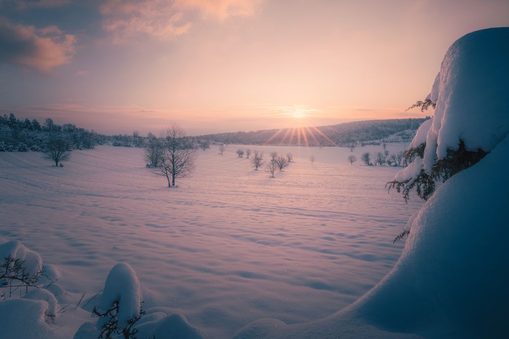 Gentle Winter