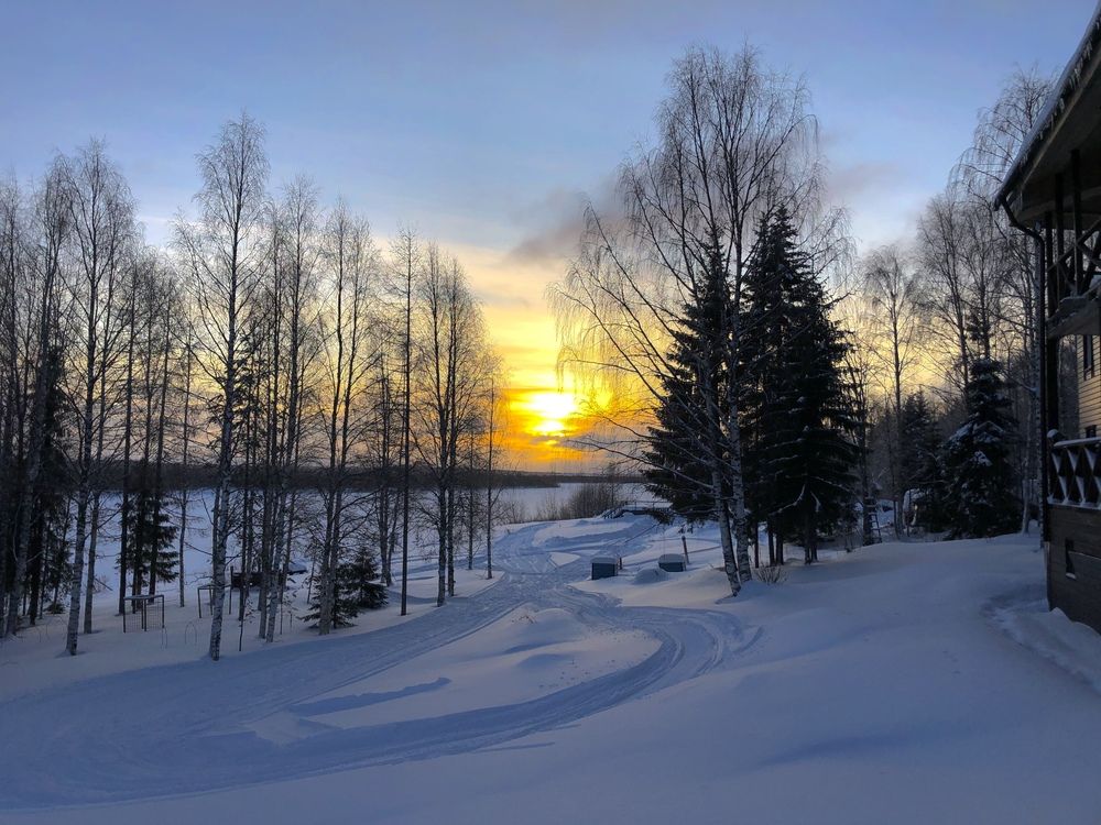 Фотография автора Ольга Ильина