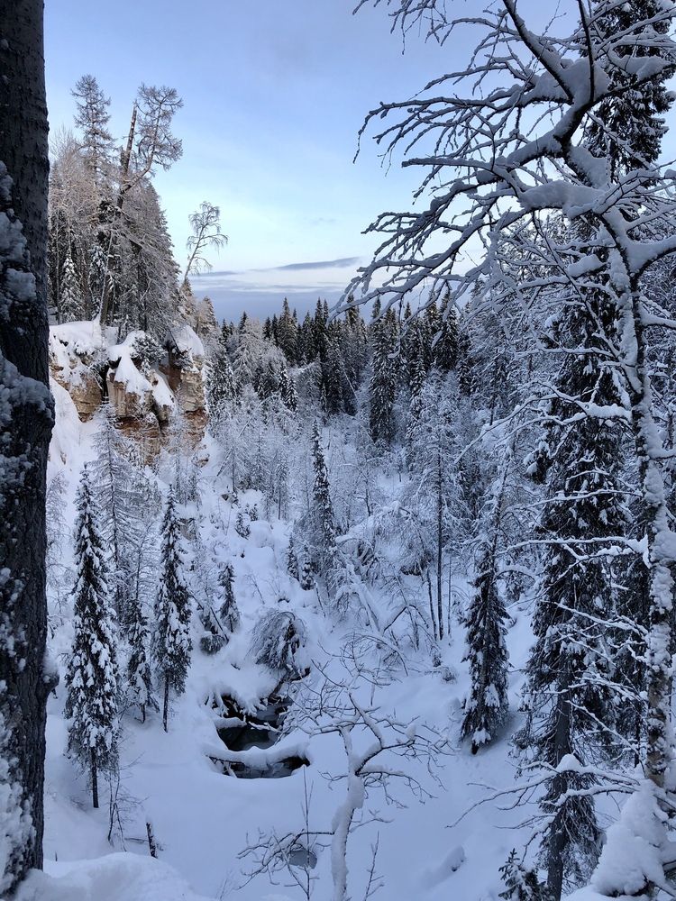 Фотография автора Ольга Ильина
