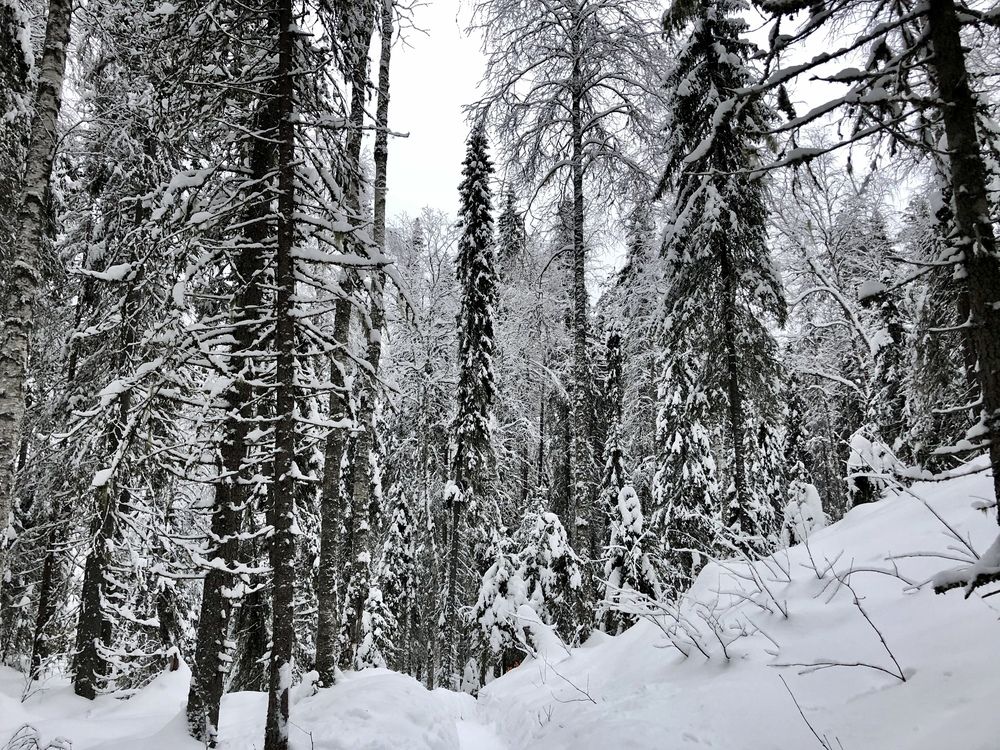 Фотография автора Ольга Ильина