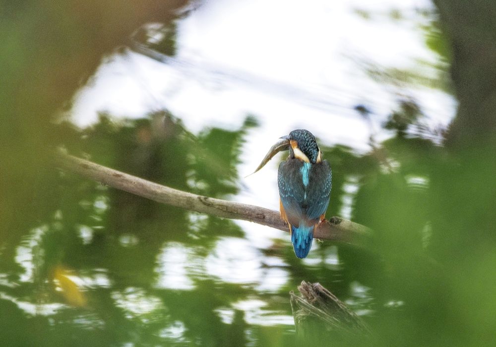 Photograph by Алексей Сиваков