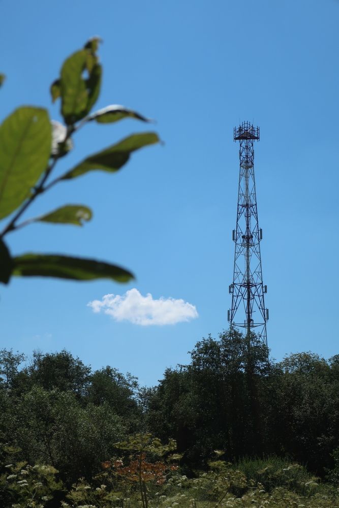Photograph by Надежда Ткаченко
