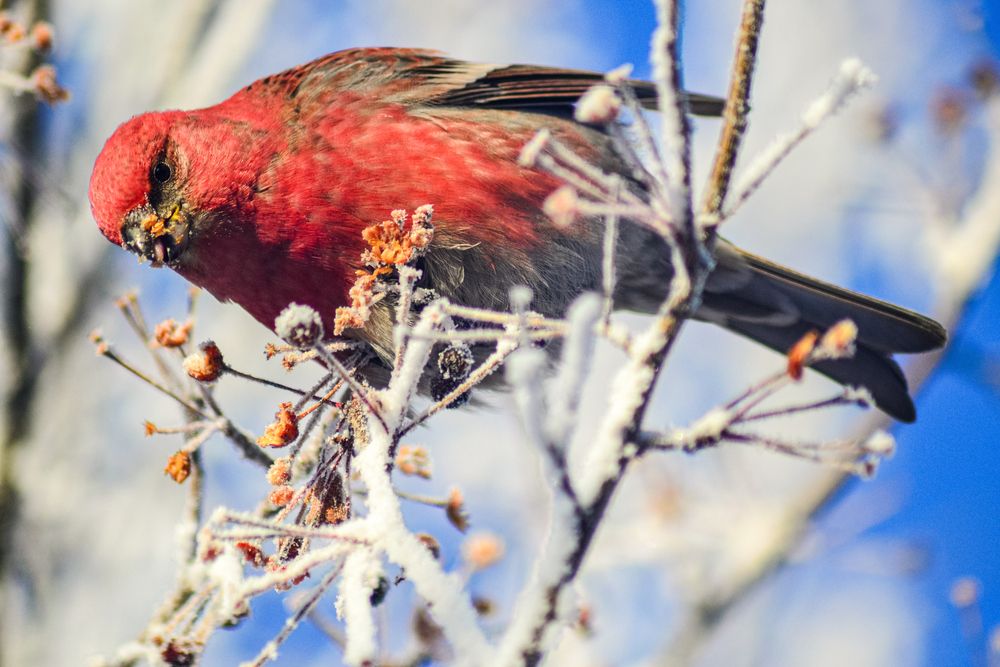 Photograph by Михаил Курзанцев