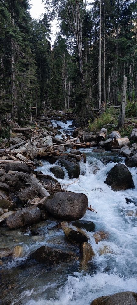 Photograph by Игорь Асатуров