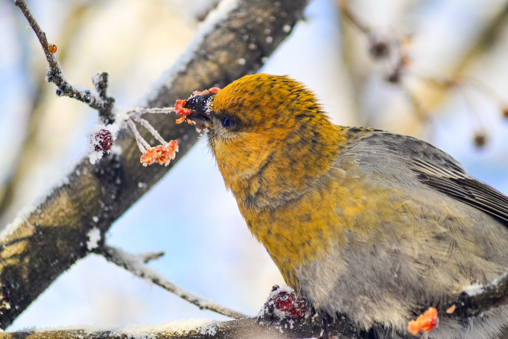 Photograph by Михаил Курзанцев