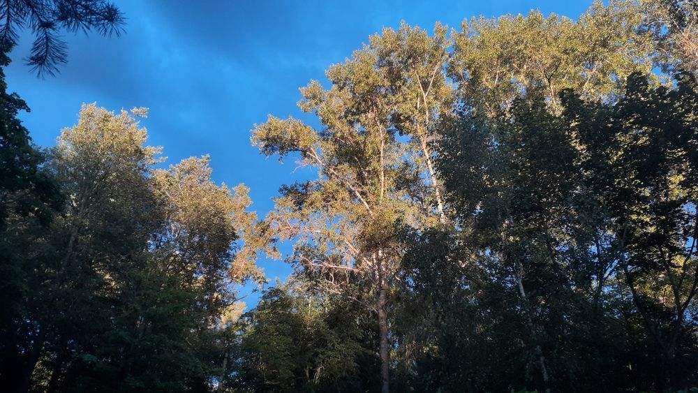 Photograph by Елена Лещева