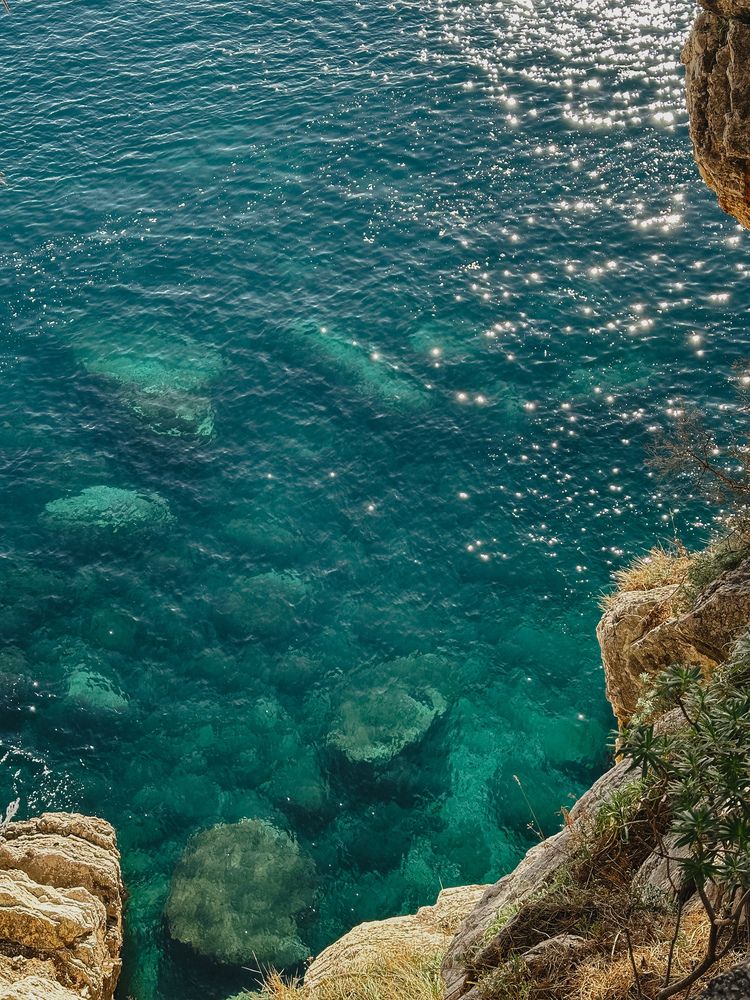 Photograph by Tatyana Komissarova