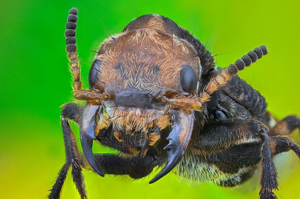 Photograph by Tsvetan Ganev