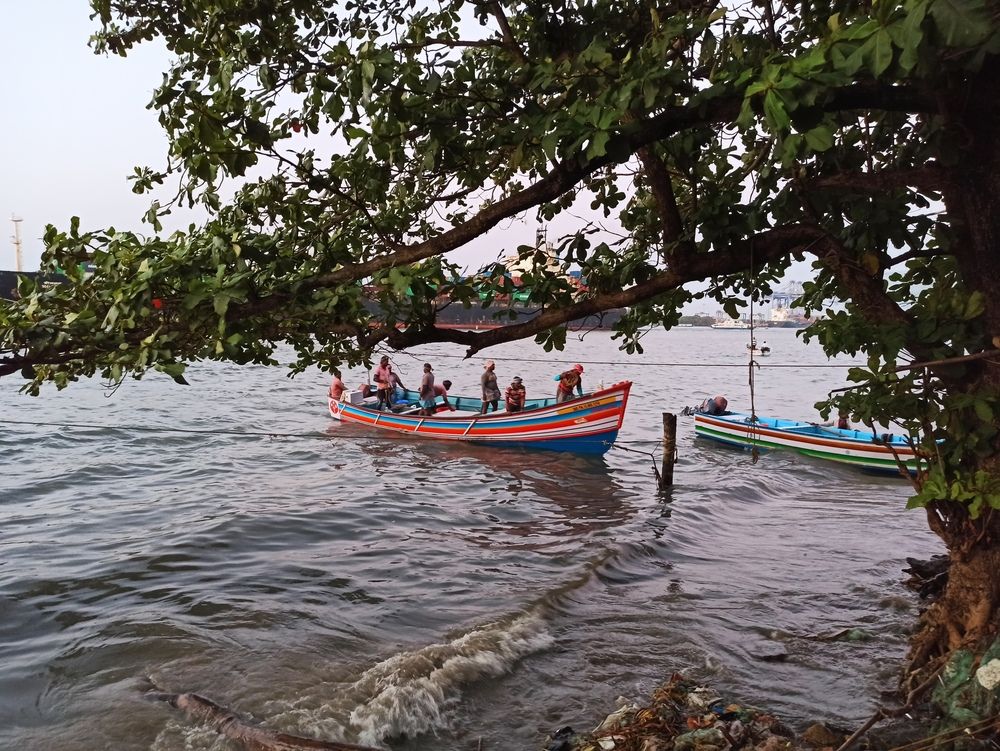Фотография автора Луцук Мария
