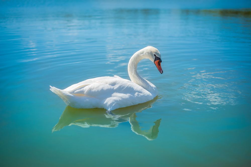 Photograph by Ильдар Шангараев