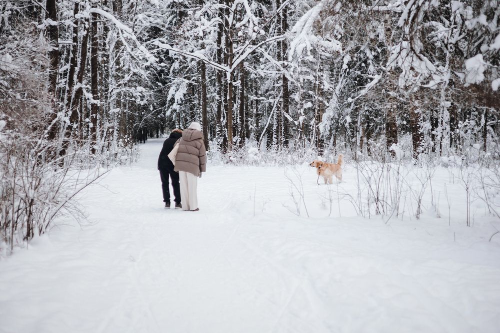 Photograph by Екатерина Воронина