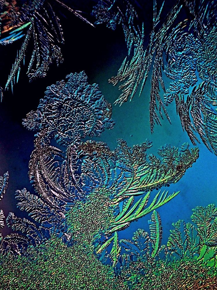 Фотография автора Владислав Алмазкин