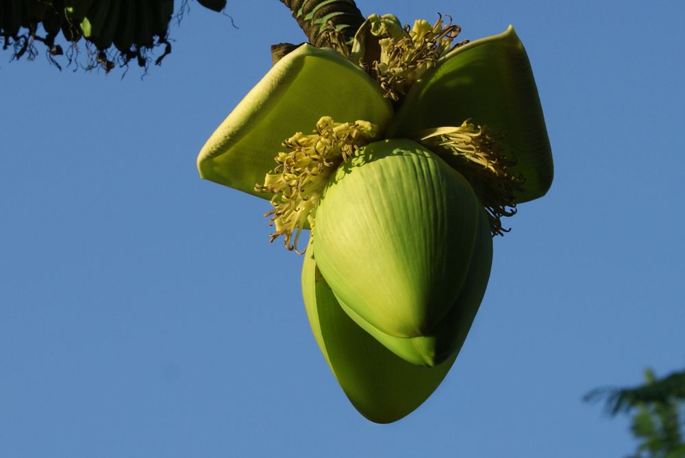 Photograph by Коржова Наталья