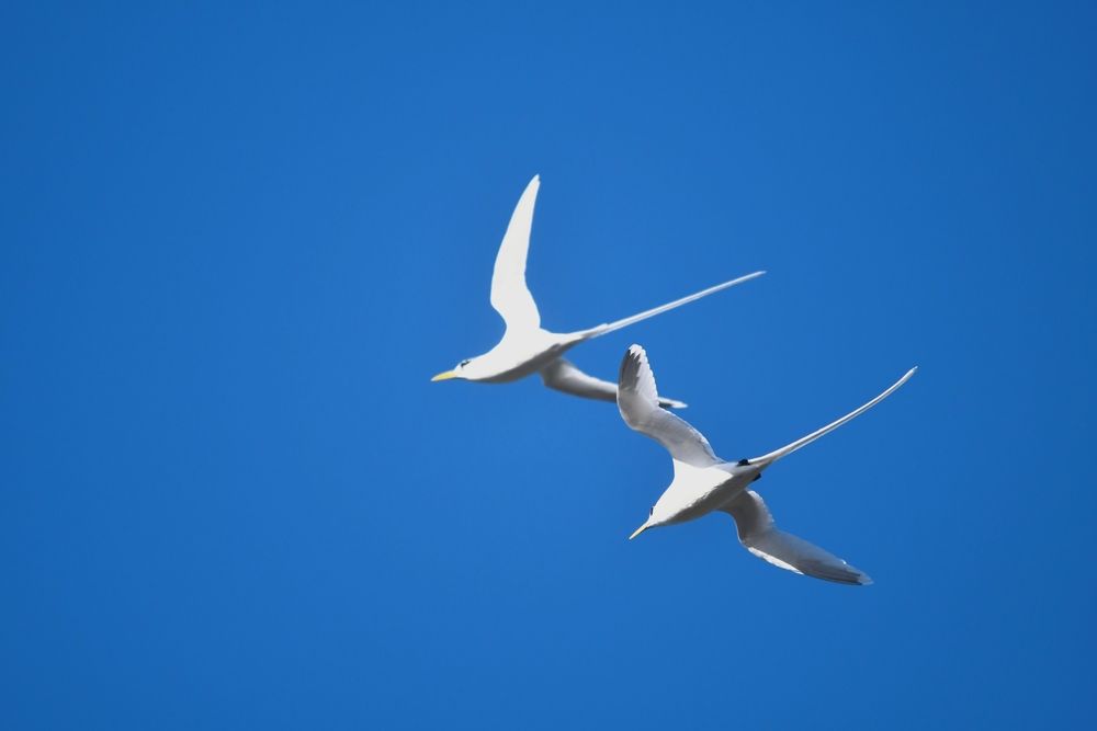 Photograph by Philyp Lucien