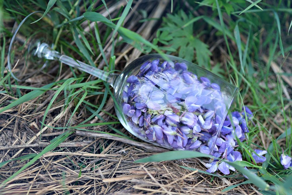 Photograph by Нина Пашина