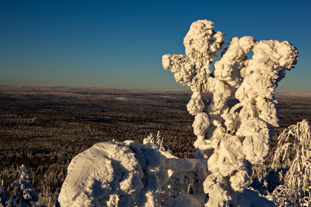 Photograph by Нина Пашина